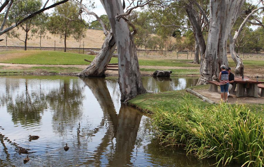 Bordertown image